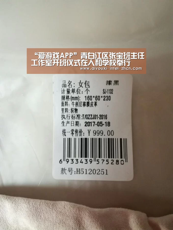 “爱游戏APP”青白江区张宝班主任工作室开班仪式在人和学校举行(图1) 爱游戏下载