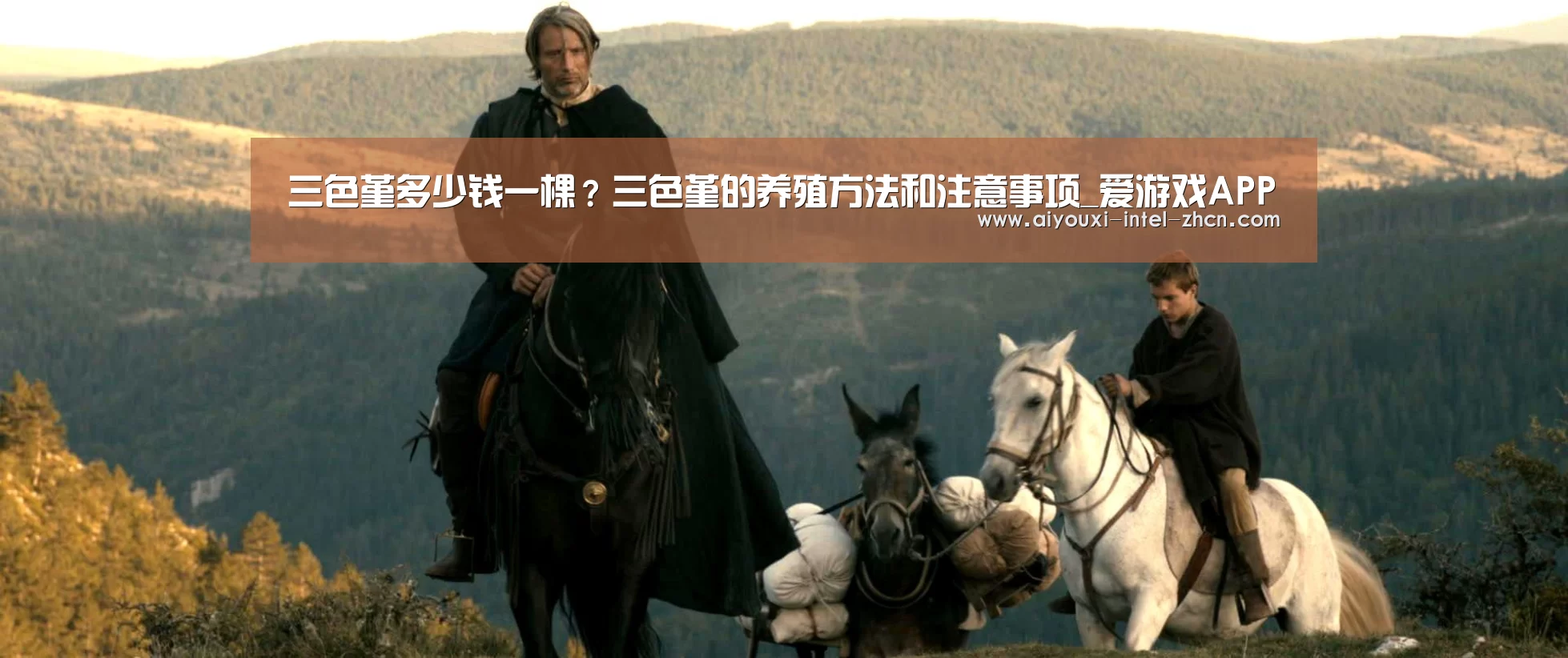 爱游戏全站