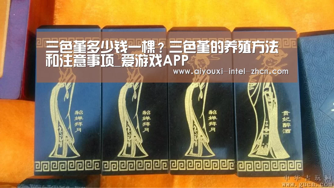 爱游戏下载