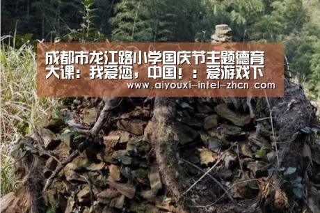 成都市龙江路小学国庆节主题德育大课:我爱您,中国!:爱游戏下载(图2) 爱游戏全站