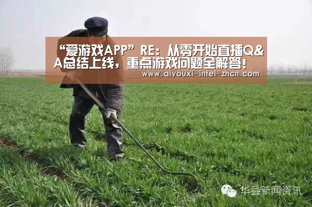 爱游戏下载