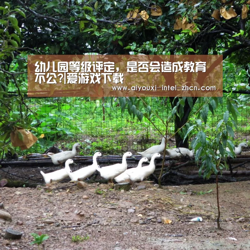 爱游戏APP