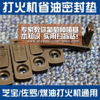 专家教你葡萄种植基本知识 实用扫盲贴!:爱游戏全站(图1) 爱游戏入口