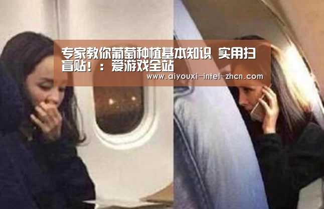 专家教你葡萄种植基本知识 实用扫盲贴!:爱游戏全站(图2) 爱游戏平台