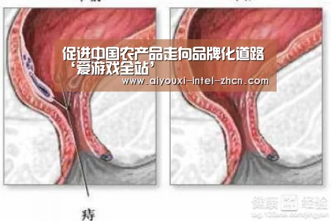 促进中国农产品走向品牌化道路‘爱游戏全站’(图4) 爱游戏全站