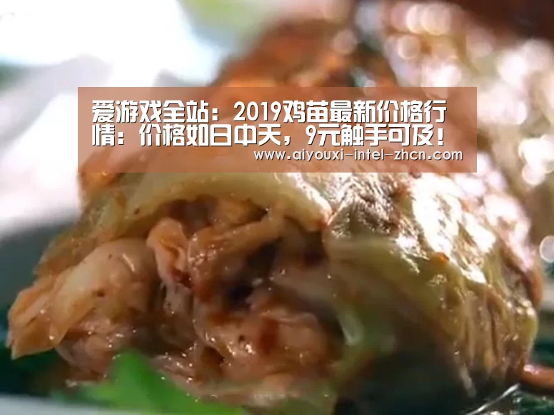 爱游戏全站:2019鸡苗最新价格行情:价格如日中天,9元触手可及!(图3) 爱游戏下载