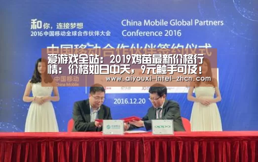 爱游戏全站:2019鸡苗最新价格行情:价格如日中天,9元触手可及!(图2) 爱游戏入口